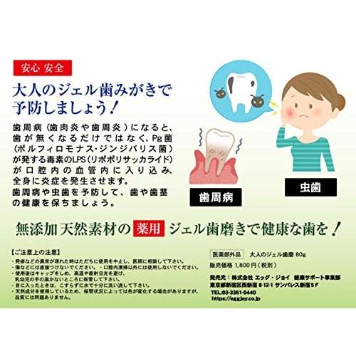 Medicated Adult Gel Toothpaste, S-80-20, for Bad Breath and Periodontal Disease, Non-Abrasive, 6 Additive-Free, Natural Ingredients, 80g