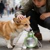 Portable Dog Water Dispenser – Leak-Proof Travel Water Bottle For Outdoor Walking, Hiking & Camping, Foldable Design For Puppies & All Dog Breeds
