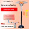 Umbrella Gas Patio Heater
