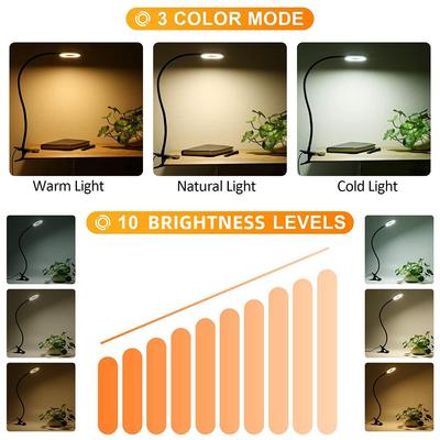 LED-Lampen – LED-Tischleuchten