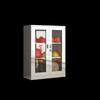 Stainless Steel Micro Fire Station Equipment Cabinet