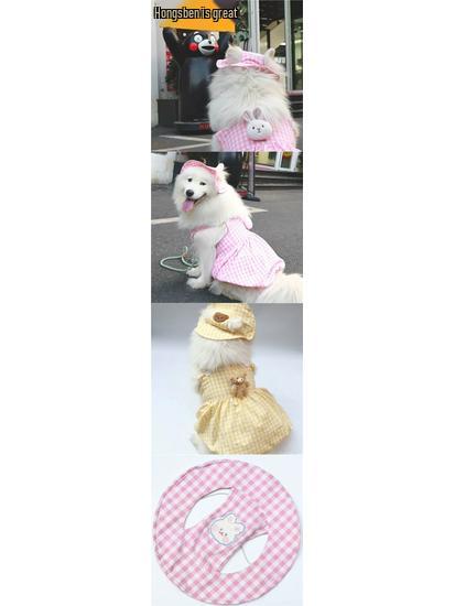 Großer Hundesonnenhut mit Ohrenlöchern - Sonnenschutz für Golden Retriever & Samojede