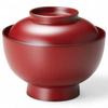 Lacquerware Dishwasher Made In Japan J-kitchens Bowl, Hand-Painted, Safe, PID-527155,