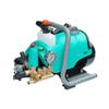 Boto Xiaofeifei FM1207 High-Pressure Portable Car Washer with 1.8KW Handheld Crankshaft Pump and Water Gun.