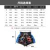 Breathable Cycling Jersey UFC MMA Boxing Fight Training Print Shorts