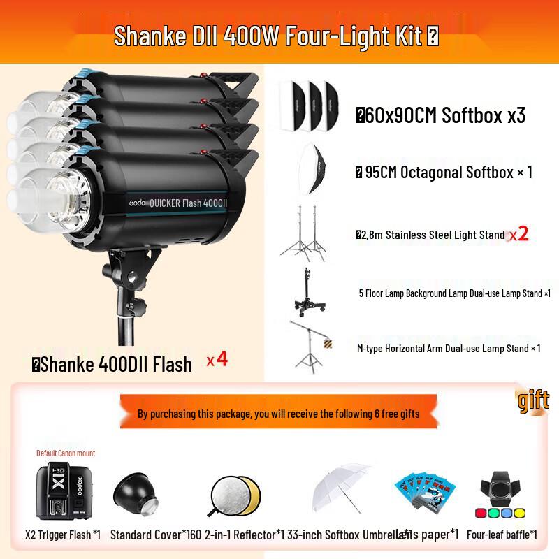 Godox DII 400W Professional Studio Flash Kit