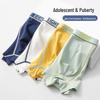 Teen Boys' Cotton Boxer Briefs 3-Pack