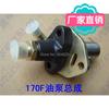Air Cooled Diesel Engine Micro Tillage Machine Parts 170F 173F 178F 186F 186FA 188F 192F Fuel Injector Injection Pump Assembly
