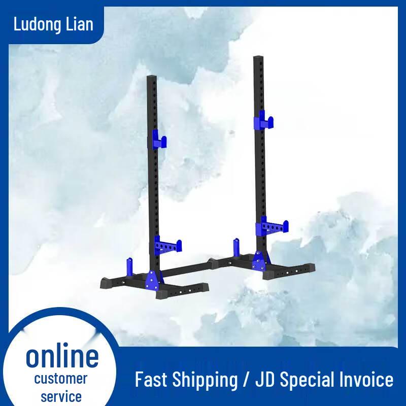Ludonglian Strength Training Squat Rack