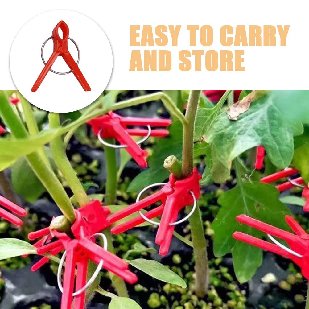 1 Set Veredelungsklammern Gewächshauspflanzen Befestigungsklammern Pflanzenstielhalter Fixe Klemmen Kunststoffklammern Für Gurken Chili Zangen