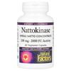 Natural Factors Nattokinase 100mg Veggie Capsules, 60 Count