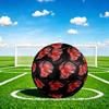 1pc Golden Fish Dance Theme Soccer Ball Football, Size 5, Lightweight PVC, Outdoor Training Soccer Ball,Gift c65149