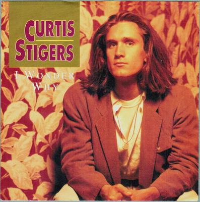 7inch Record CURTIS STIGERS - I Wonder Why 114716 Arista 1991 UK Rock Used