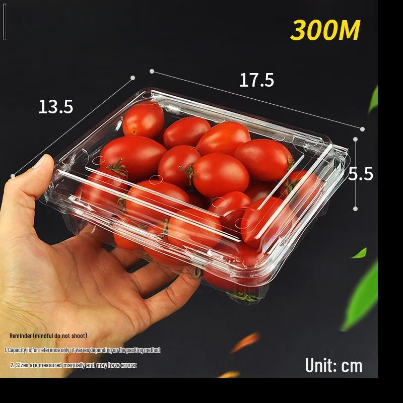 Shixun Disposable Fruit & Deli Boxes