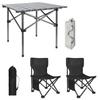 Portable Outdoor Folding Picnic Table and Chair Set