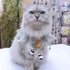Chats – Tenues pour chats