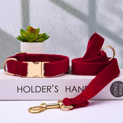 Ensemble collier et laisse pour chien en velours gravé avec boucle métallique réglable