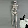 Halloween Skelett Ornament 65 Zoll Ganzkörper Bewegliche Gelenke Skelette Lebensechtes Modell für