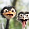 Funny Ostrich Head Window Ostriches Waterproof for Car Glass Static Decal Sticker Cartoon Door Wall Window