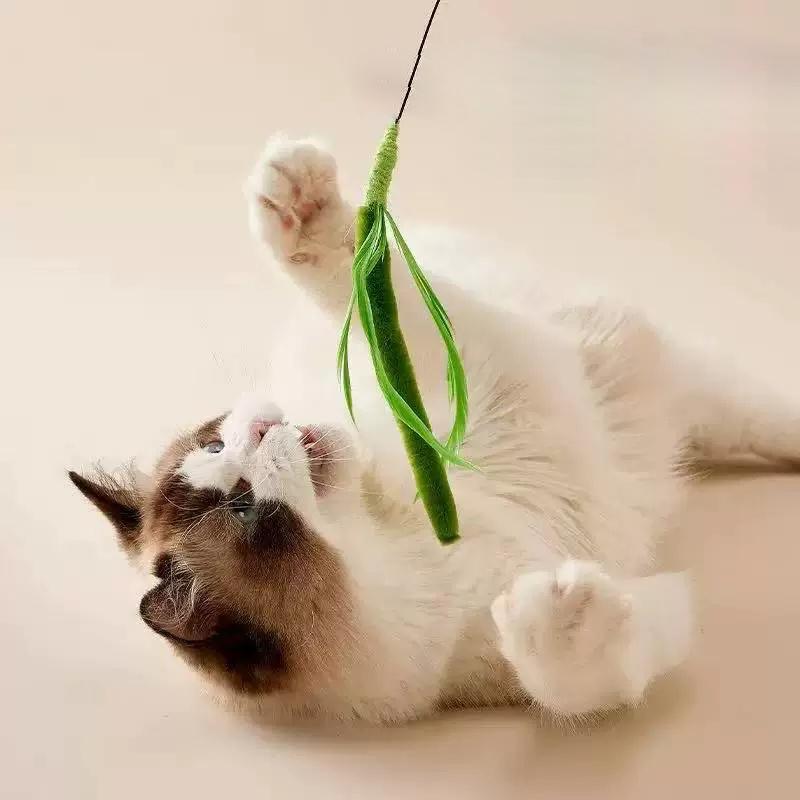 Wandspielzeug-Set zum Kratzen, Beißen und Treten, Nachfüllungen mit Grün für Teaser, Interaktives Spielzeug für, Angst und