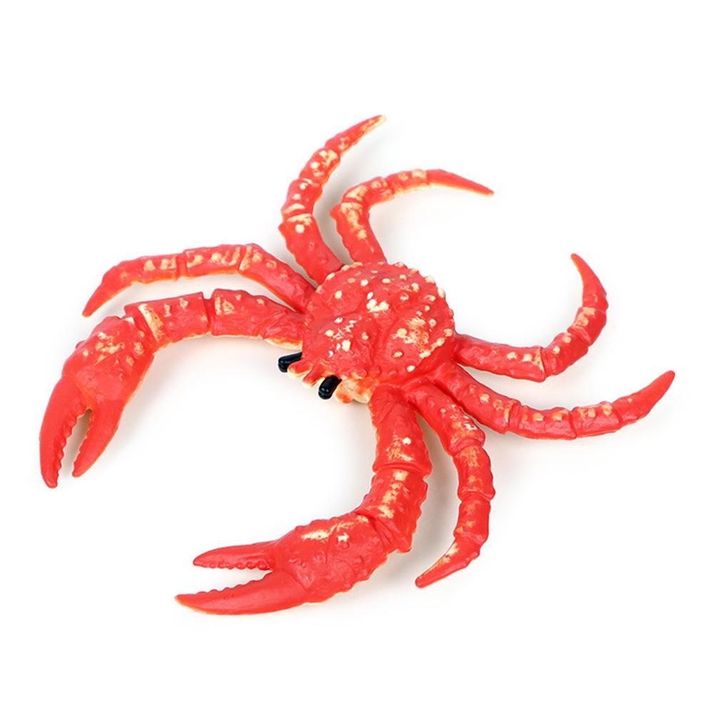Puntos Kids Toy Simulation Hermit Crab Marine Animal PVC Model Desktop Decor Education