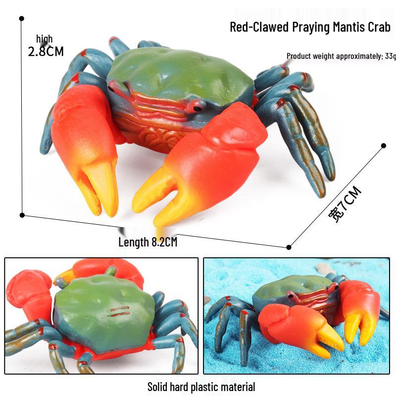 Children's Cognitive Toy: Hermit Crab Marine Animal Model Ornament