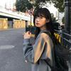 Vintage Gray Embroidered Letter Heavy Sweater Women's Autumn and Winter Velvet Thickened Hoodless Crew Neck Long-sleeved Top