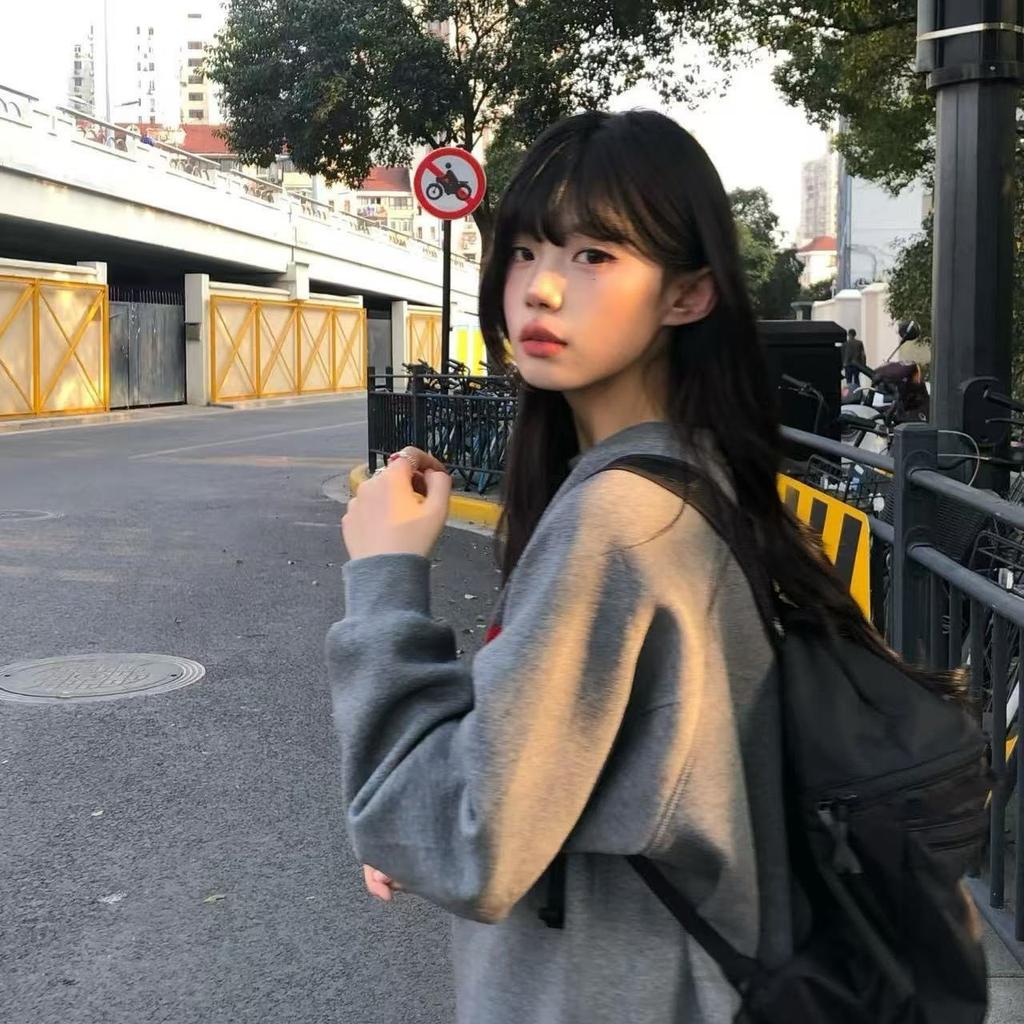 Vintage Gray Embroidered Letter Heavy Sweater Women's Autumn and Winter Velvet Thickened Hoodless Crew Neck Long-sleeved Top