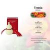 2026 Year of the Horse Fu Lu Aroma Plaster Ornament: Long-Lasting Fragrance for Car & Closet