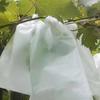 100pcs Breathable Vegetable Plant Protection Bags Grape Protection Cover  For Pest Control Anti-Bird