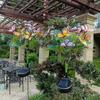 Solar-Powered Butterfly Flower Garden Lamp - Waterproof Outdoor Yard Light