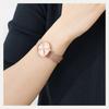 Daniel Wellington PETITE watch quartz movement stainless steel strap gold dial women's watch 30 meters waterproof DW00100471