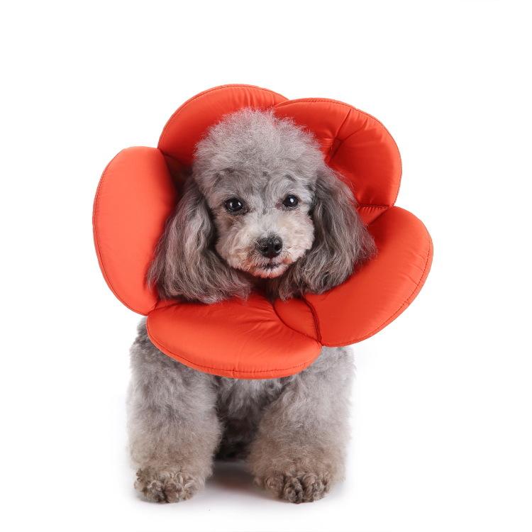 Potřeby pro domácí mazlíčky Ochranný obojek Ochranný obojek pro psy Ochranný obojek Květina Ochranný obojek Pet Beauty Medical Cover
