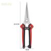 Stainless Steel Pointed Pruning Scissors for Fruit, Branches, and Vegetables