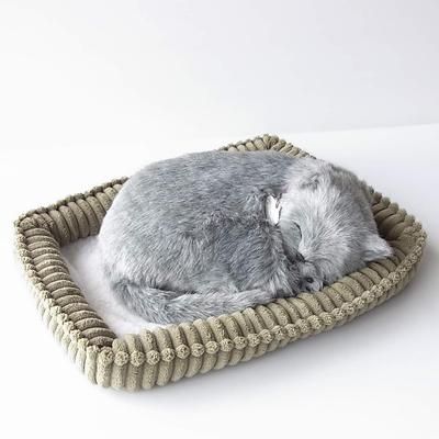 Nini e Kino Animal de Estimação Perfeito (Tamanho pequeno) Gato Azul Russo de Pelúcia Gato Aparência Realista Produtos Diversos Animal Cura Movendo Presente
