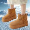 Women's Snow Boots with Winter Fleece and Thick Cotton Shoes, Women's Boots with Cold Insulation and Warm Cotton Boots, Thick Soled Boots