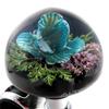 AUTOLAND Underwater Flower Steering Steering Spinner Real Fresh Flower 65mm Thick Diameter Grip Spinner, Blue, Knob, Orchid, Art,