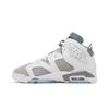 Air Jordan 6 Retro Grade School 'Cool Grey' (Unisex) White / Medium Grey / Cool Grey Kids' Basketball Shoes 384665 100