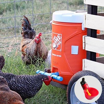Alimentatore automatico per animali in plastica anti-fuoriuscita da 10 pezzi con ciotola per l'acqua per pollo