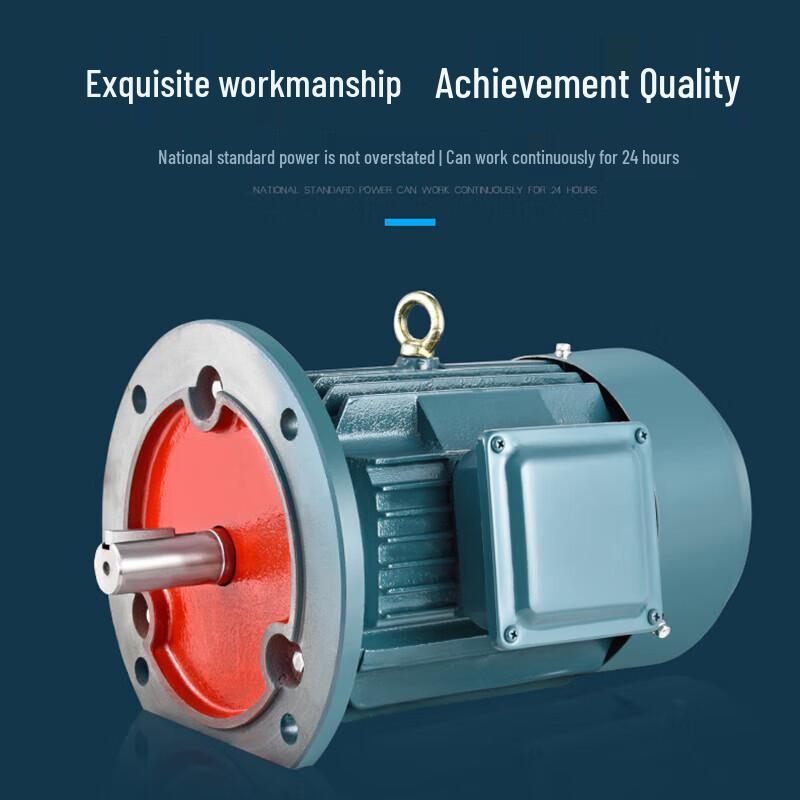 Vertical Three-phase Asynchronous Motor