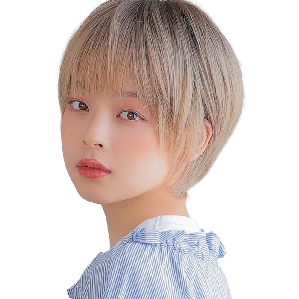 

AQUADOLL Short Full Wig, Boyish, Cool, Black Hair, Blonde Gradient, One Size Fits All, P-CMB. Cinnamon Beige Pudding, wg300P-CMB