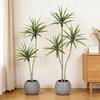 Second-Generation Tropical Faux Plant: High-End Indoor Potted Decoration with Thousand-Year Wood