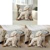 Animal Plush Toy Pillow Cover For Living Room Office Car Decor