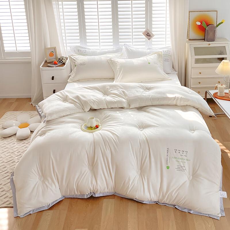 

PAUI DAVID All-Season Antibacterial Polyester Quilt