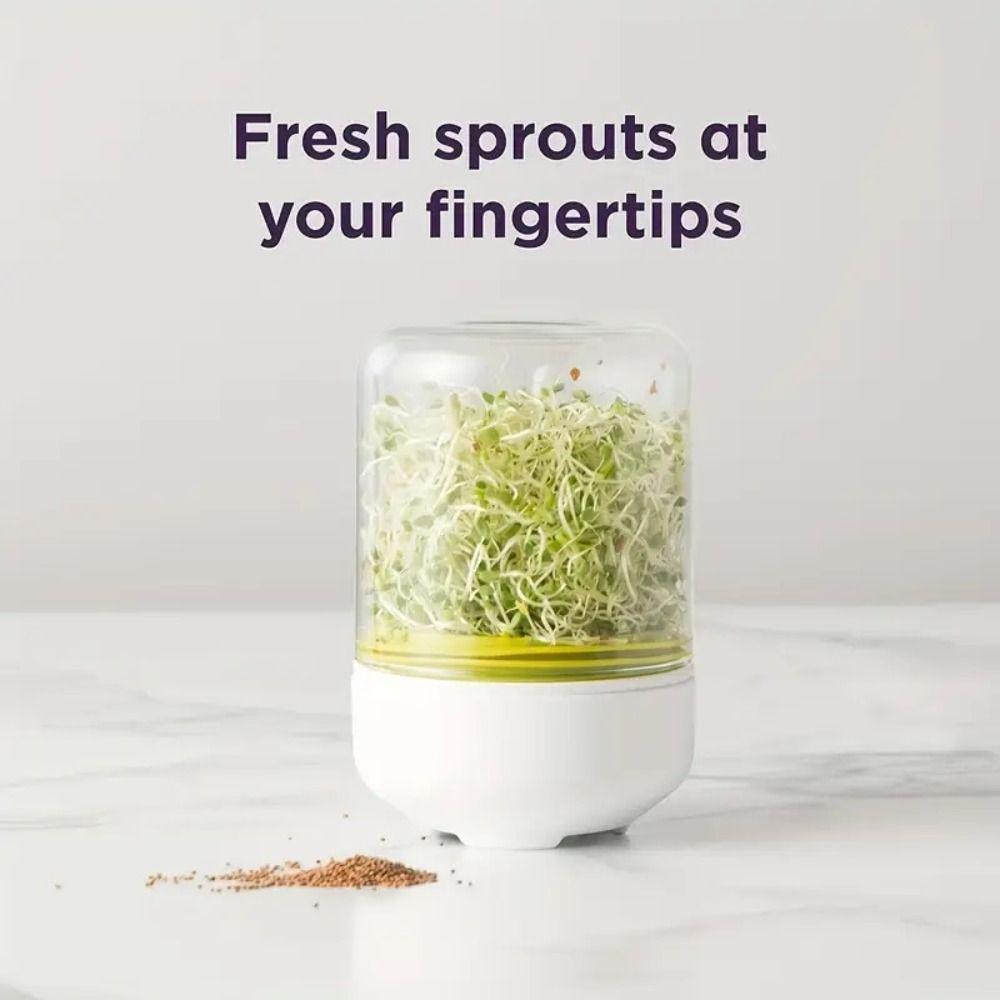 Large Capacity Bean Sprout Growing Machine Mini Sprout Dish Growing Pot  Indoor Farming