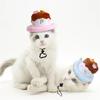 Dog Birthday Cake Hat Pet Hat Adjusting Dog Costume Hat Cute Cake Hat