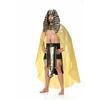 Halloween male pharaoh adult drama stage costume