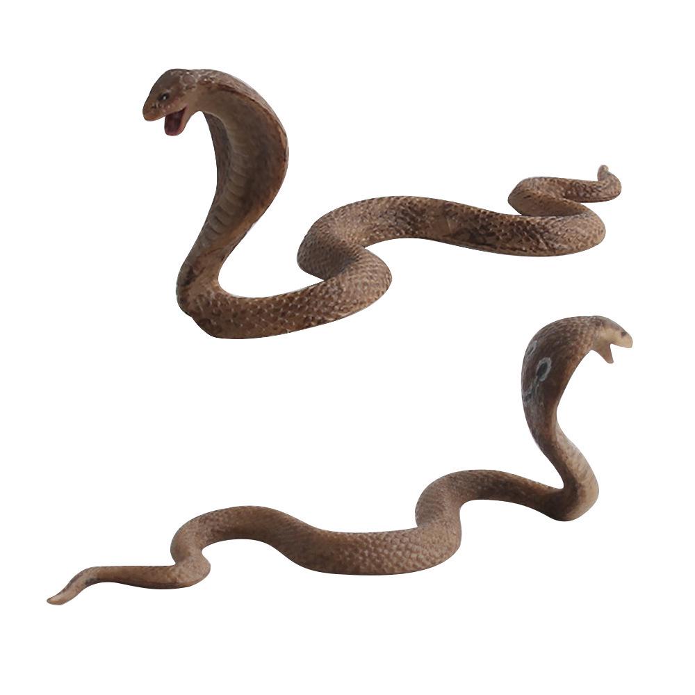 Children's Wild Animal Simulation: Poisonous Snake Model Toy