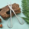 8.27 Inch Tender Leaf Bud Prunning Scissors Flower Art All-steel Integrated Pruning Potted Plants Gardening Horticulture Shear