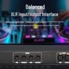 Weishu DSP0306 Digital Audio Processor (CN version)